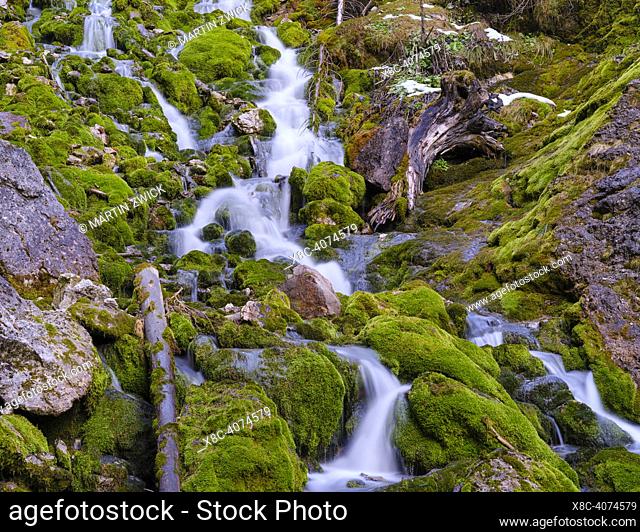 Vallesinella waterfalls, Cascate Alte, an icon of the Dolomiti di Brenta in the nature park Adamello - Brenta in the province of Trentino in Italy