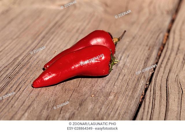 Organic red hot jalapeno pepper