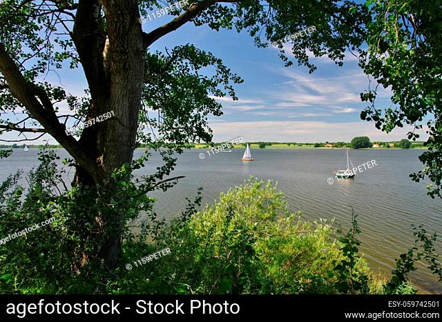 River ""Schlei"" (south side) with sailing boats near Sieseby (Thumby), Rendsburg-Eckernförde, Schleswig-Holstein, Germany
