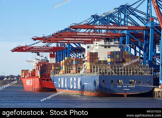Das Containerschiff CMA CGM Musca wird am Containerterminal Burchardkai im Hafen Hamburg Waltershof am 8. Februar 2015 be- und entlafen