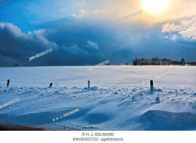 snow bank, Belgium, Ardennen, Winterlandschaft