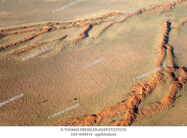 Namibia - Aerial view of grass-grown sand dunes at the edge of the Namib Desert  The so-called 'Fairy Circles' are circular patches without any vegetation which...