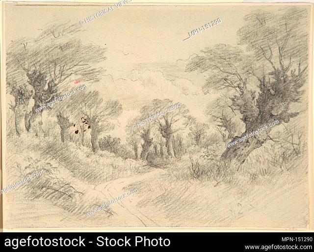 Young Pollards. Artist: John Constable (British, East Bergholt 1776-1837 Hampstead); Date: ca. 1801; Medium: Graphite; Dimensions: Sheet: 6 7/8 x 9 3/8 in