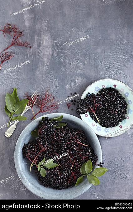 Black elderberries in bowls
