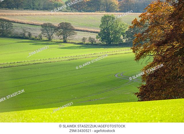 Autumn afternoon in South Downs National Park near Worthing, West Sussex, England
