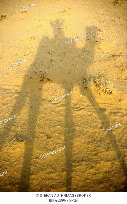 Camel trekking shadow of a rider on a camel in sand in Thar desert near Jaisalmer Rajasthan India