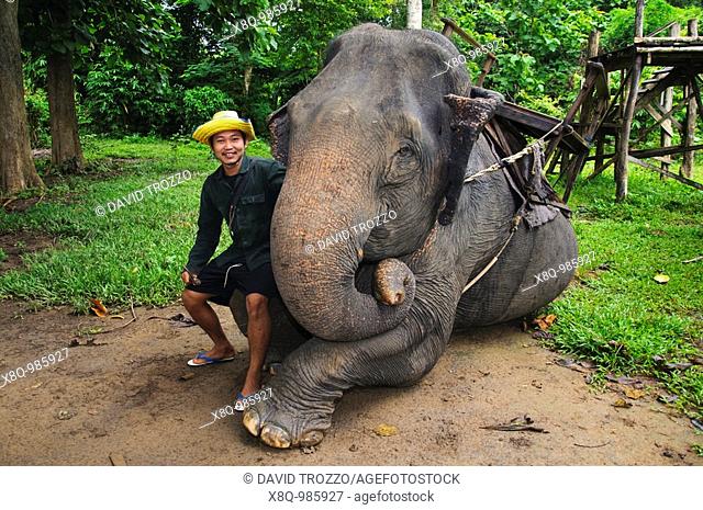 Elephant handler, Kanchanaburi Province, Thailand