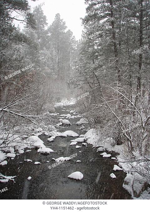 Winter stream, New Mexico USA