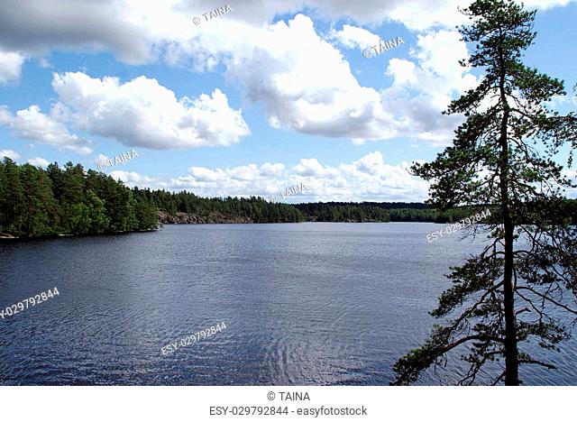 A view to SahajÃ¤rvi Lake in Teijo, South of Finland, with a Pine tree on the silhouette