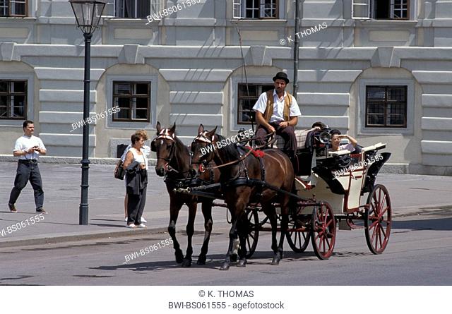 horse carriage Fiaker in Vienna, Austria, Vienna, traffic