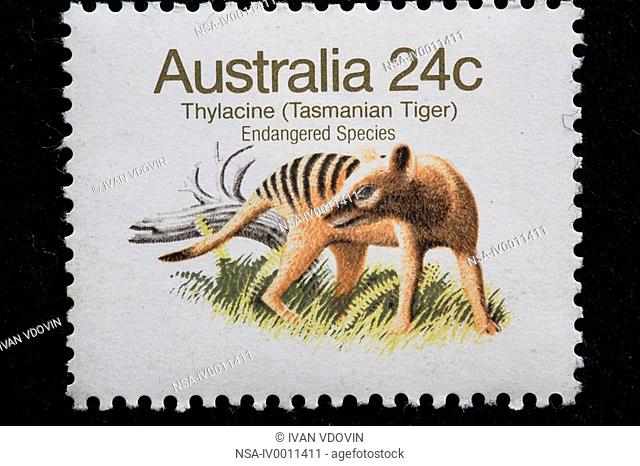 Tasmanian tiger, Thylacine Thylacinus cynocephalus, postage stamp, Australia