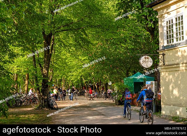 Footpath and cycle path on the Isar high bank at the beer garden Menterschwaige, district Harlaching, Munich, Upper Bavaria, Bavaria, Germany