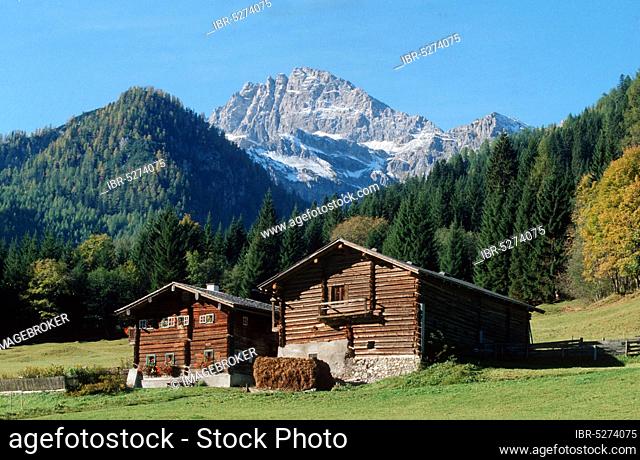Alpine hut, Kleinarl, St. Johann im Pongau, Salzburger Land, Austria, Europe