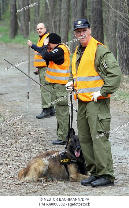 Search dogs and officers of the Berlin police search the missing head of a corpse in a forest in Treuenbrietzen, Germany, 24 April 2013