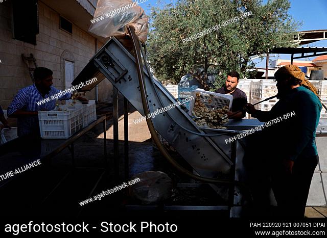 20 September 2022, Syria, Idlib City: Syrian workers wash and sterilize dried figs at a dried fruit factory in Idlib City