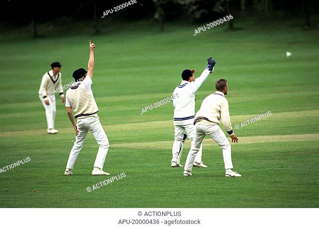 Cricketers appealing for an out