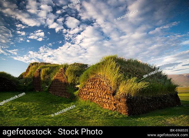 Grass sod houses, evening light, peat farm or peat museum Glaumbaer or Glaumbær, Skagafjörður, Norðurland vestra, Iceland, Europe