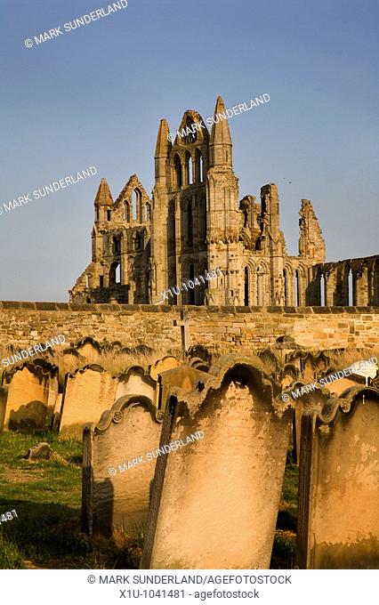 Whitby Abbey from St Marys Churchyard in Soft Summer Evening Light Whitby North Yorkshire England