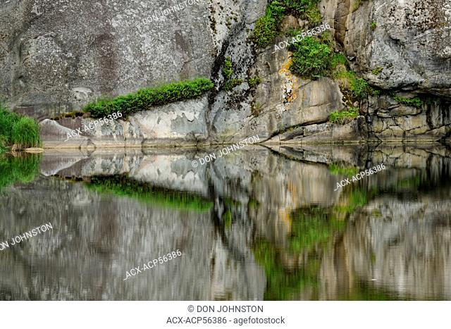 Rock outcrops and vegetation fernsreflected in the Whitefish River, Whitefish Falls, Ontario, Canada