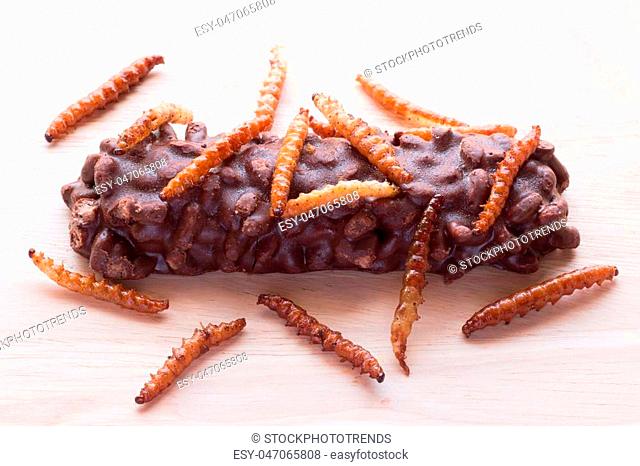 Fried insects - Wood worm, bamboo worm insect crispy and candy coated chocolate wafer bars on wooden background. Great source of protein for children