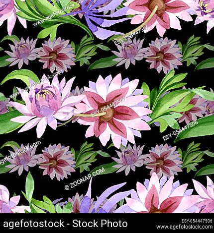Pink water lily. Floral botanical flower. Wild spring leaf wildflower pattern. Aquarelle wildflower for background, texture, wrapper pattern, frame or border