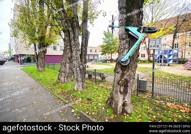 21 November 2023, Lower Saxony, Hanover: An electric scooter hangs in a tree after the act of vandalism. Photo: Julian Stratenschulte/dpa