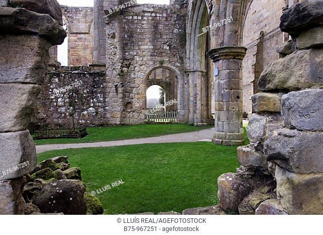 Bolton Abbey, North Yorkshire, England, UK, ruina, monasterio, abadia, Siglo doce
