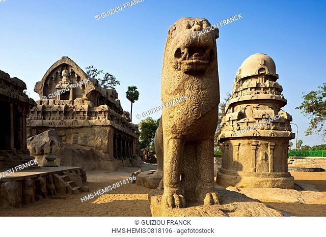 India, Tamil Nadu State, Mahabalipuram (or Mamallapuram), the Five Rathas listed as World Heritage by UNESCO, are a set of 5 monolithic temples of the 7th...