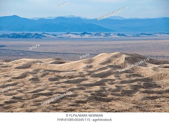 View of desert sand dunes, Kelso Dunes, Mojave National Preserve, Mojave Desert, California, U S A , march