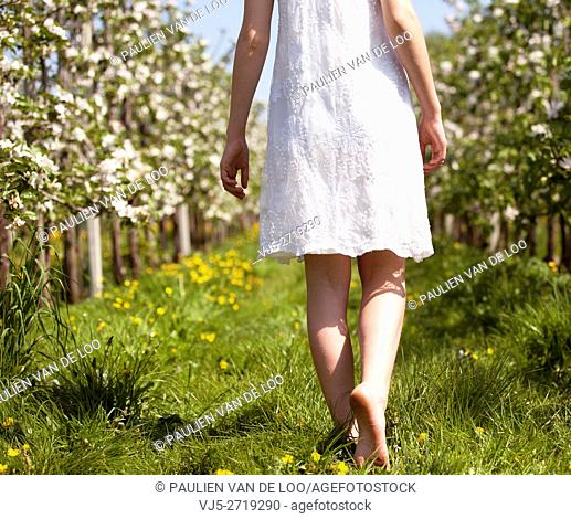 Helmond, Netherlands, a lovely girl walks barefoot between blossom in an orchard
