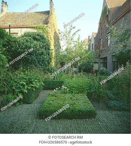 Clipped box shrubs in formal town garden