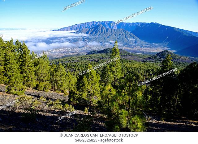 Ruta de los volcanes en el parque natural de Cumbre Vieja. La Palma. Islas Canarias. España. Europa