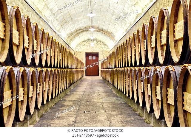Barrel store at the Marqués de Riscal winery. The city of wine. Elciego. Rioja alavesa wine route. Alava. Basque country. Spain