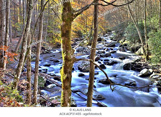 Middle Prong Little River, Great Smoky Mountains National Park, Tennessee, USA