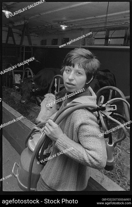 ***MARCH 5, 1982 FILE PHOTO***Dairy cow keeper Miroslava Vavrinova ""Way of Peace"" Unified Agricultural Cooperative in Senice na Hane, Olomouc District