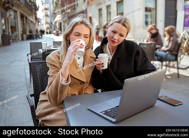 Focused elegant ladies seated at the table in a cafe looking at the laptop screen