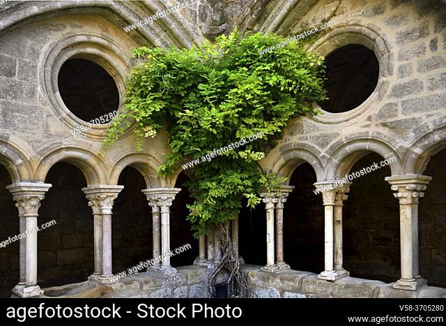 France, Aude, Fontfroide abbey, The cloister