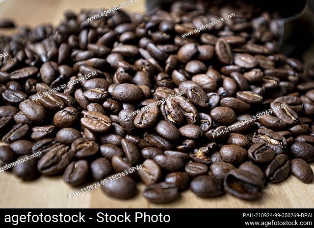 24 September 2021, Berlin: Roasted coffee beans lie on a table. Coffee is the Germans' favourite drink - per capita consumption in 2020 averaged 168 litres