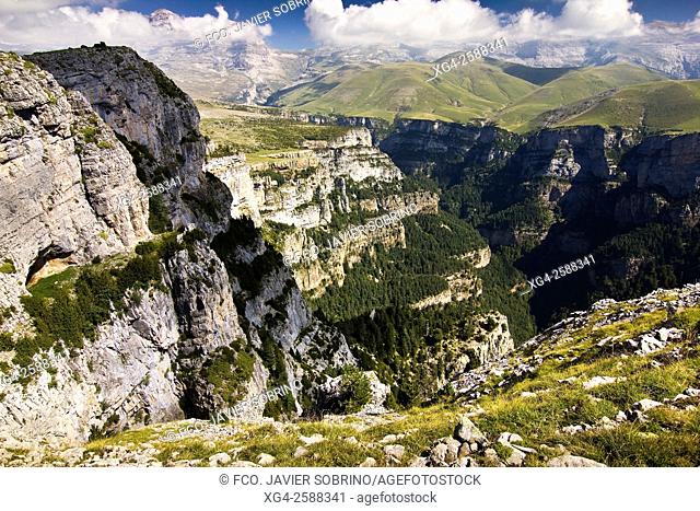 Cañón de Añisclo - Parque Nacional de Ordesa y Monte Perdido. Valle de Ordesa - Torla - Sobrarbe - Huesca. Pirineo Aragones - Aragon - España