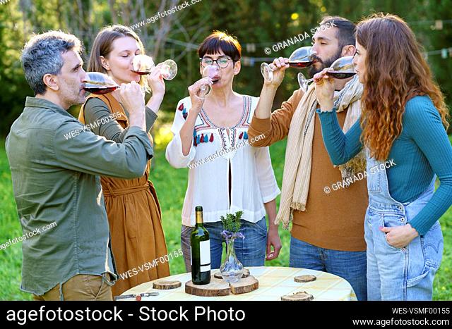 Group of friends drinking red wine on their getaway in the countryside