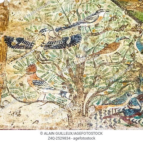 Middle Egypt, Beni Hasan, the tomb of Khnumhotep II dates from the Middle Kingdom and contains the ""Beni Hasan birds"". This famous scene is indeed a very...