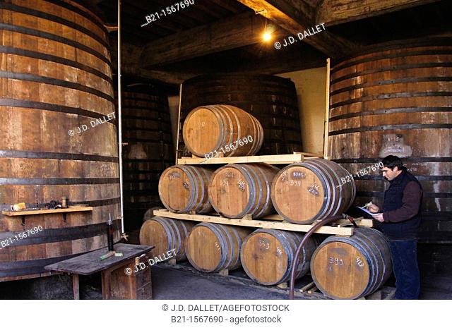 In one of the armagnac aging cellar of the Samalens armagnac estate, at Laujuzan, Gers, Midi-Pyrenees, France
