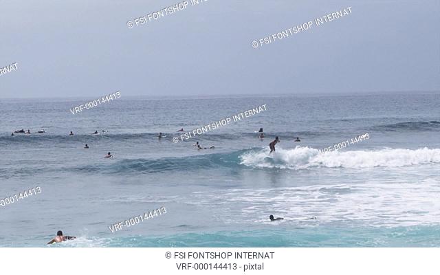 WS, DS, Surfers riding waves, Honolulu, Hawaii, USA