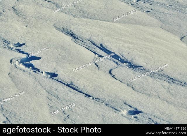 snowdrifts, frozen, ice, snow, cold, bavaria, germany