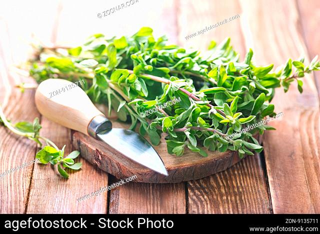 fresh aroma herb, marjoram on a wooden rustic table