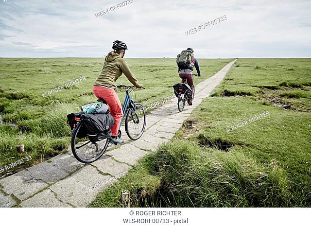 Germany, Schleswig-Holstein, Eiderstedt, couple riding bicycle through salt marsh
