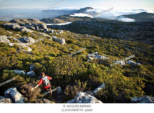 Hiker going down hill, Table Mountain, Cape Town, South Africa