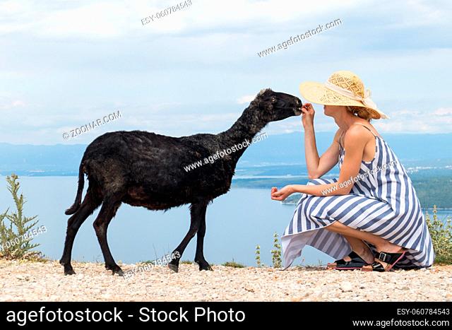 Young attractive female traveler wearing striped summer dress and straw hat squatting, feeding and petting black sheep while traveling Adriatic coast of Croatia