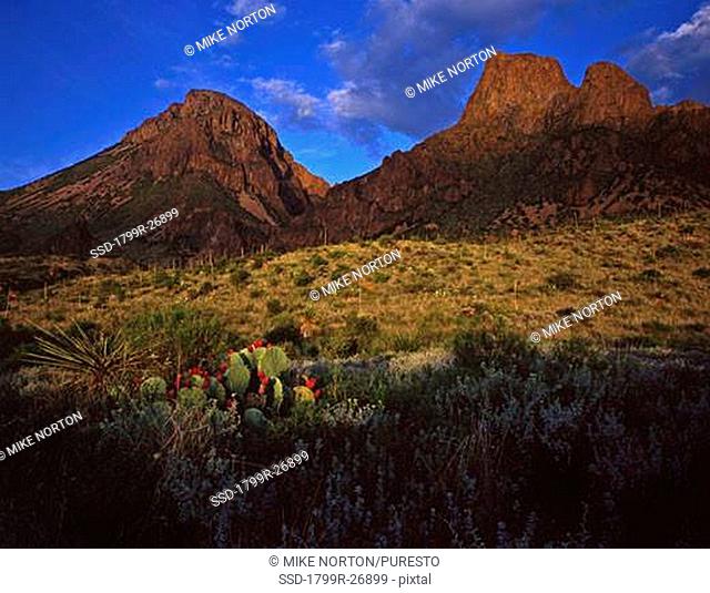 Low angle view of a mountain at dusk, Chisos Mountains, Big Bend National Park, Texas, USA