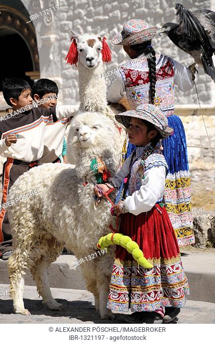 Llama, girl, Maca, Inca settlement, Quechua settlement, Peru, South America, Latin America